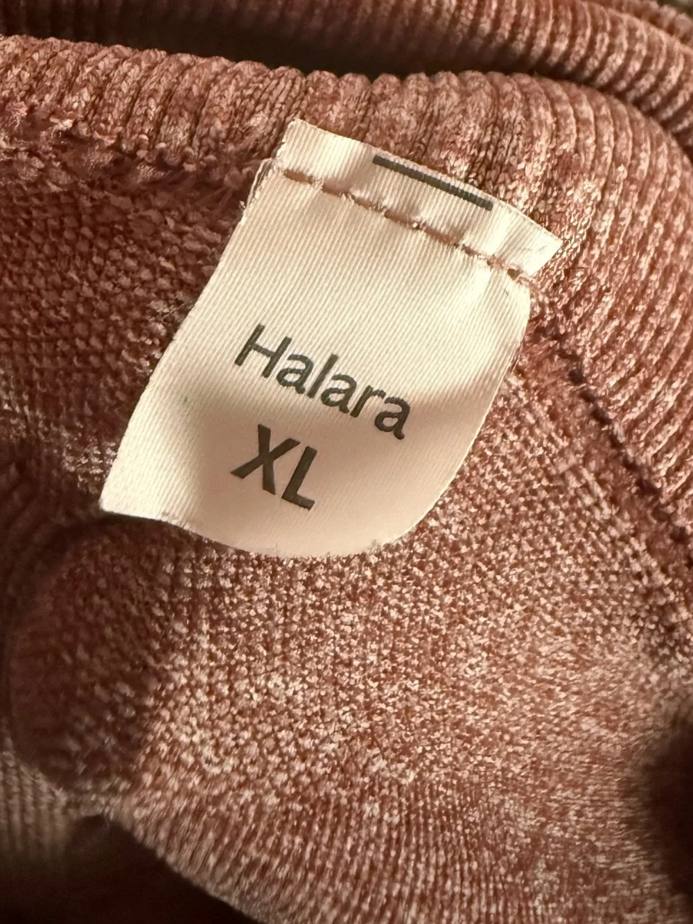 HALARA Ombre Seamless Leggings - Rose to Cream